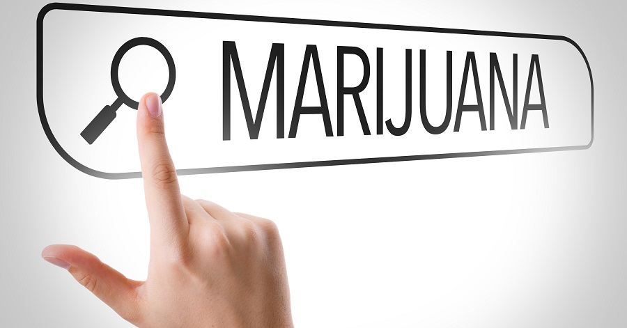 marijuana resources search