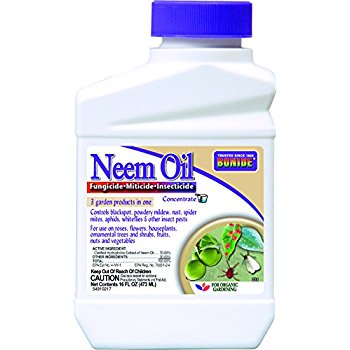 how to use neem oil on cannabis plants