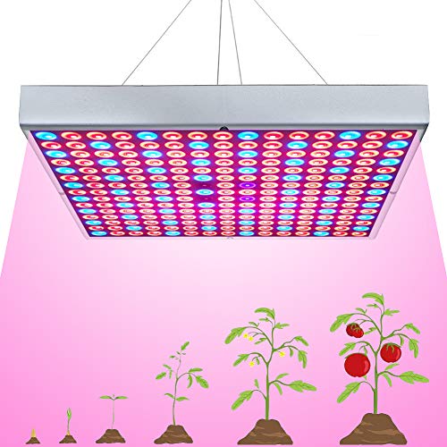 grow light distance from plants