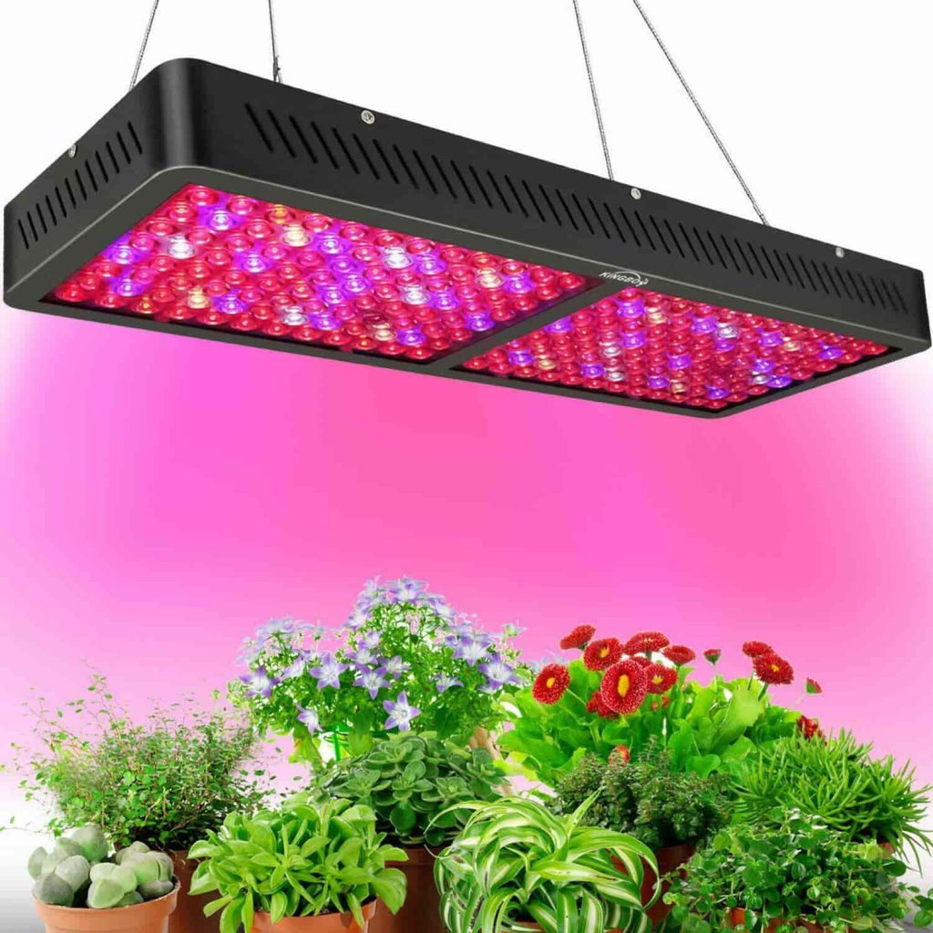 Kingbo LED Grow Lights - All Models Reviewed and Compared